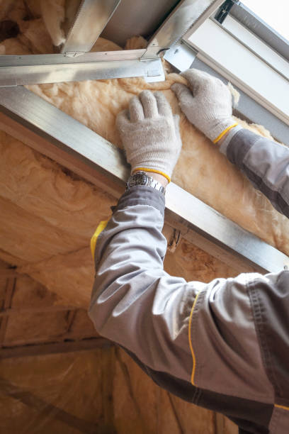 Types of Insulation We Offer in Belmont, VA