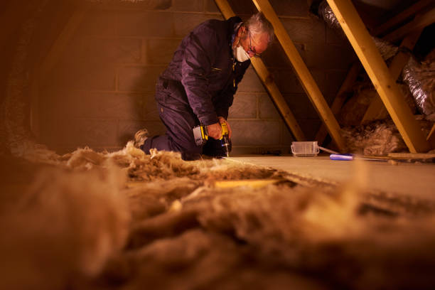 Best Geographic-Specific Insulation Services in Belmont, VA